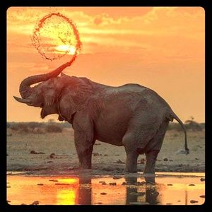 Meet your Posher, Rajwinder